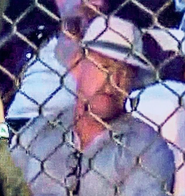 Daniel Kinahan's crime boss father Christy Kinahan, 68, was pictured for the first time in years at the UFC fight in June last year