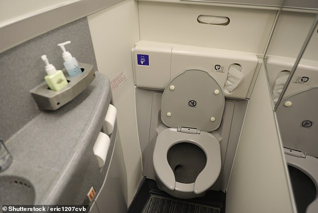Plane toilets are one of the dirtiest places you can find on board an aircraft