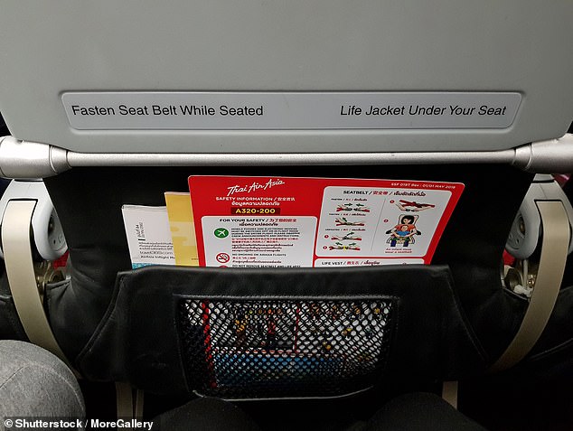 Unless someone throws up or spills something, it's unlikely the seatback pocket gets cleaned