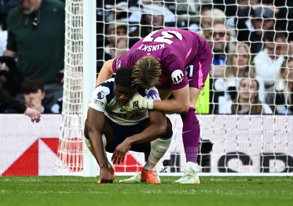 : Premier League - Tottenham Hotspur v Brighton & Hove Albion