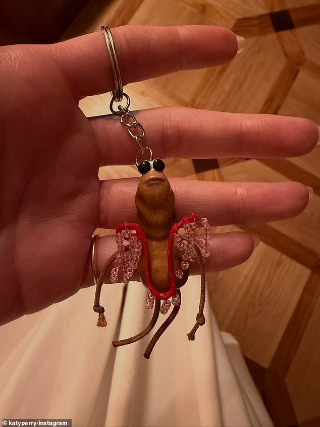 She also shared a snap of a funny insect keychain