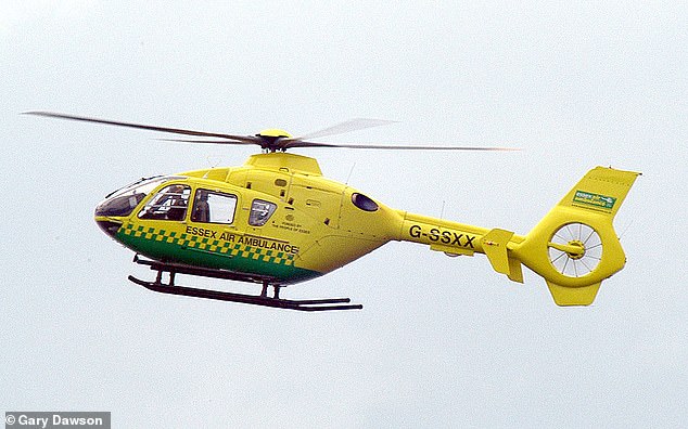 An air ambulance also attended the call, which turned out to have been triggered by noise from a video game