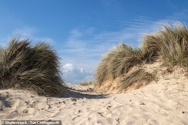 Walberswick in Suffolk has one of the best hidden gem beaches in the UK