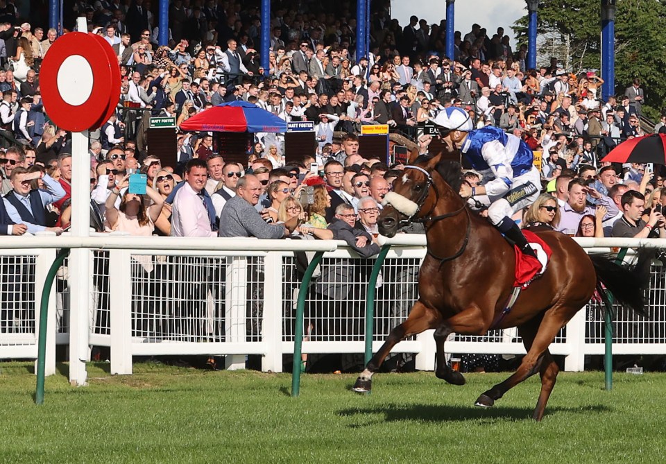 Virgin Bet Ayr Gold Cup - Ayr Racecourse
