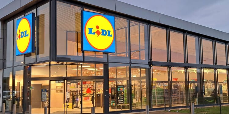 Lidl is bringing back 1800W lawn gadget that's over £40 cheaper than Argos' version this WEEK