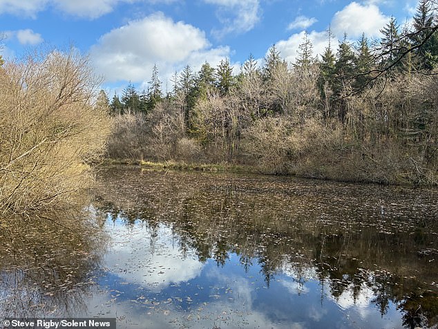 Pictured: The pond at the bottom of Hides Field
