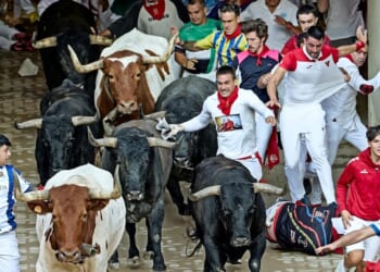 Leaving it all in the ring | Christopher North