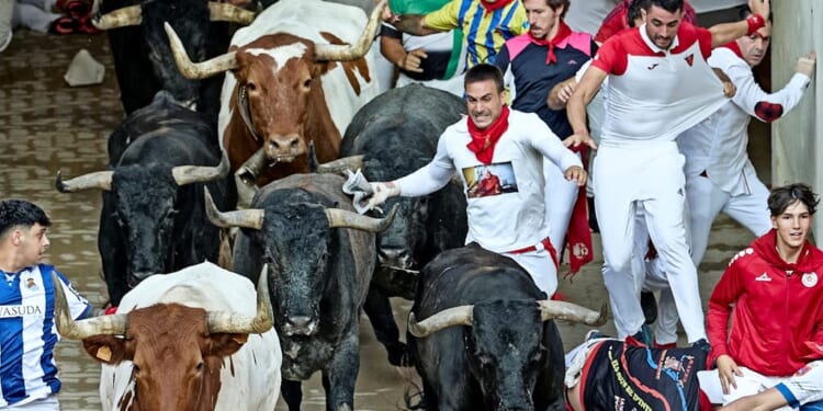 Leaving it all in the ring | Christopher North