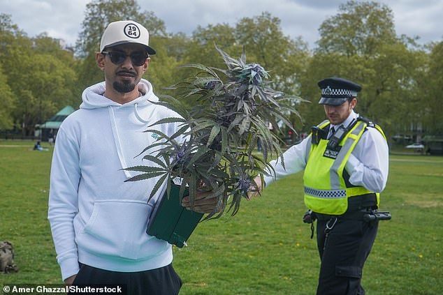 Another man was pictured holding what appeared to be a cannabis plant as an officer approached