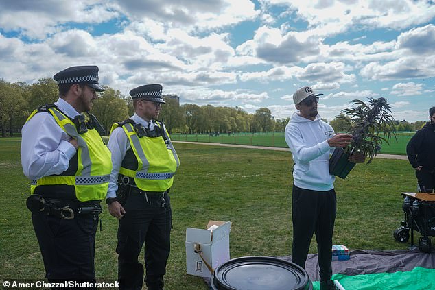 It is not known whether the man was arrested. Pictured: Two officers stand near the man as he brandishes the supposed cannabis plant