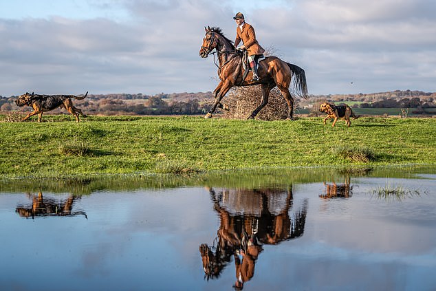 Ivan (pictured riding with his dogs) used to muck out horses in return for free rides as a teenager in Lewes, East Sussex, and has been a master of the Coakham hunt on and off for decades