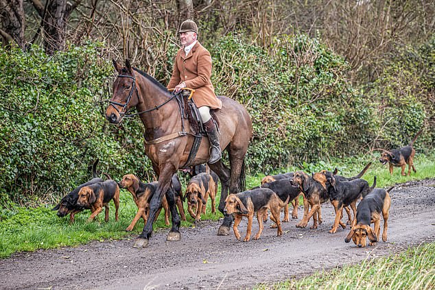 Massow pictured hunting with the Coakham Bloodhounds Hunt