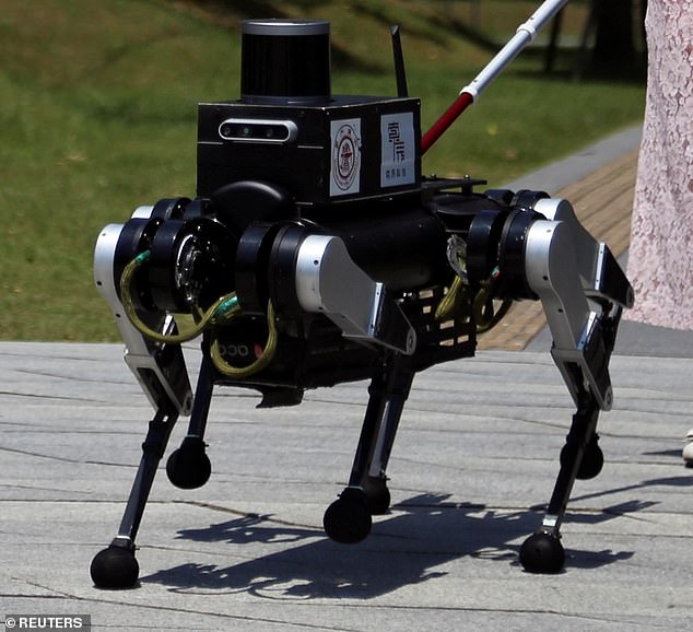 A similar model was developed in China in 2024 and tested using blind and visually impaired people