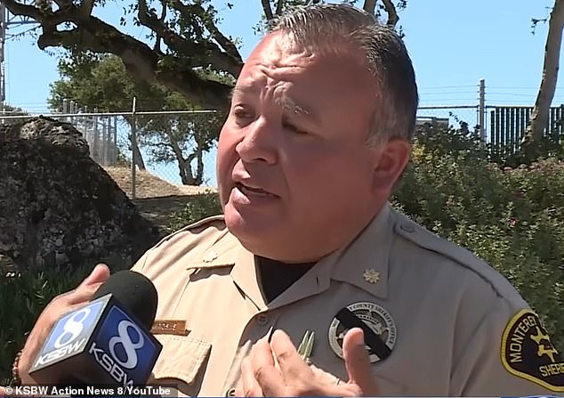 Andres Rosas, spokesperson for the Monterey County Sheriff's Office, told KSBW that the markings were caused by insect activity, possibly ants