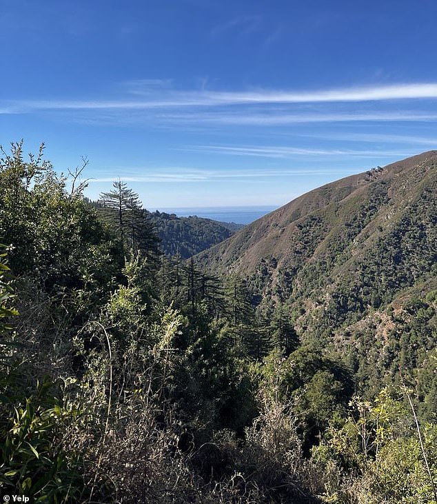 Shields was found in a wooded area along the Pine Ridge Trail near Sykes Hot Springs in the Los Padres National Forest
