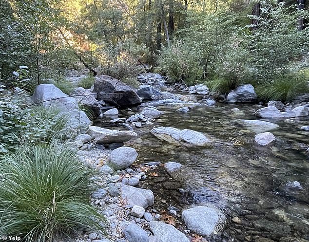 The man at the scene said Shields went to the bathroom and cleaned herself off around 10:30am. When he went to look for her, he said he found her dead and naked in the water