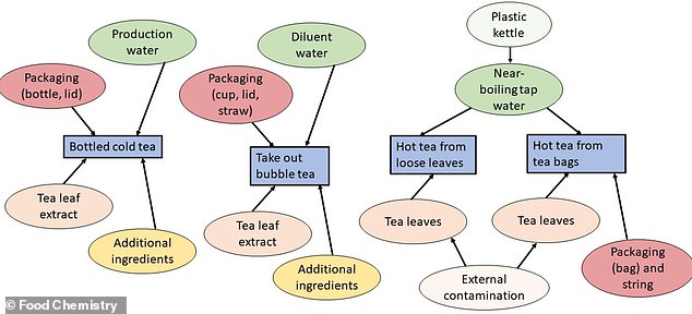 The graphic shows the four different types of tea-based drinks and all the possible places where microplastics and nanoplastics (MNPs) can enter each one
