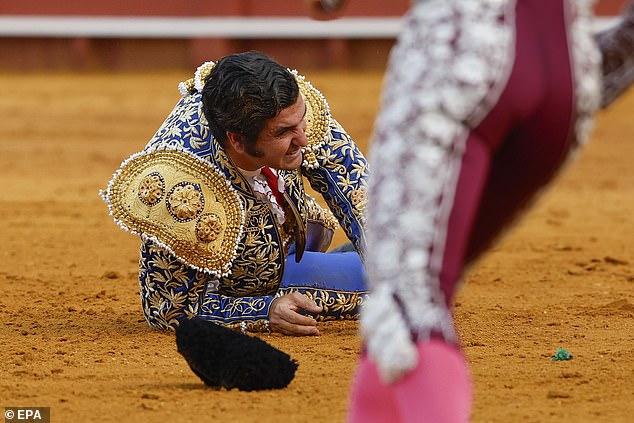 The torero had faced a bull which had positioned itself in a treacherous spot in the ring when the incident unfolded