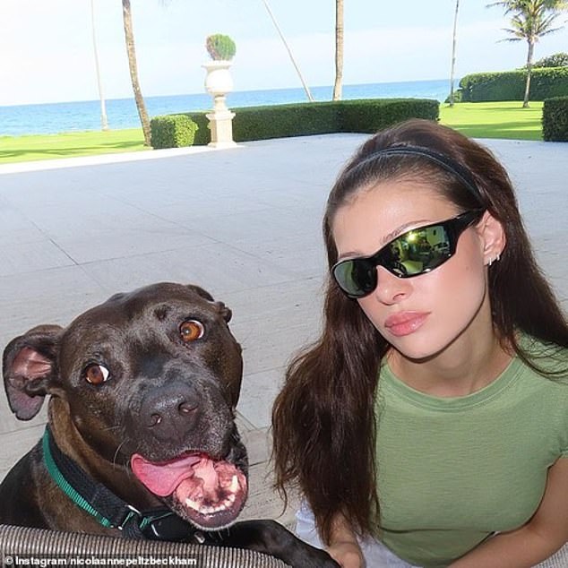 Houdini had been at the animal shelter Yogi's House which the actress runs (Nelson Pelts pictured with Houdini)