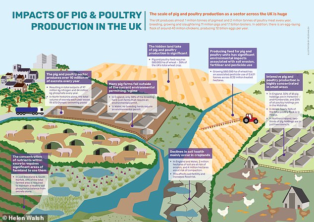 The discrepancy in figures could mean the huge impacts on water pollution, nature and land use are being ignored