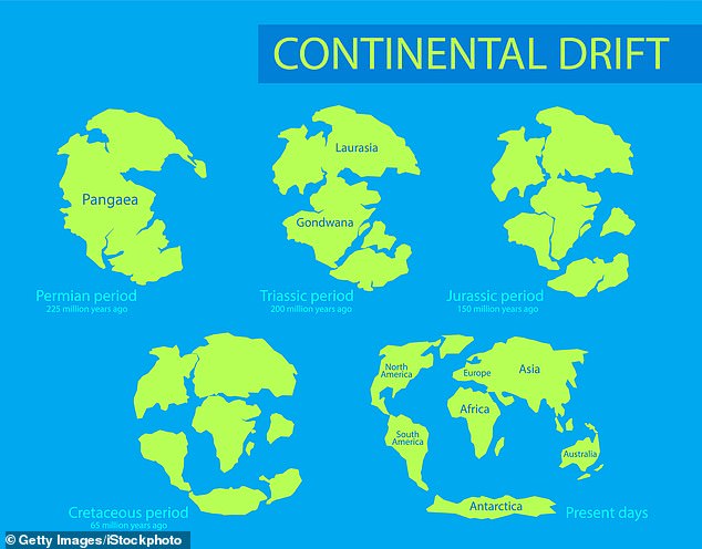 Scientists think the fault, dubbed the Rovuma Transform Margin, formed during the Jurassic period as the continent of Gondwana split into Africa and South America