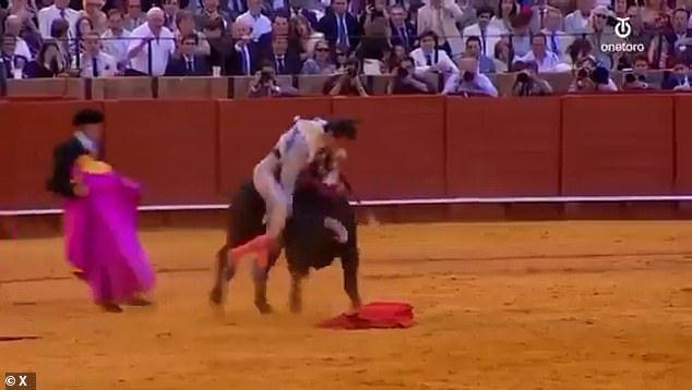 Shocking footage of the incident showed Rey almost instantly being hit through the right thigh with the bull's horns
