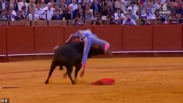 The bull bounced Rey up and down on its horns several times before it stepped on the injured matador