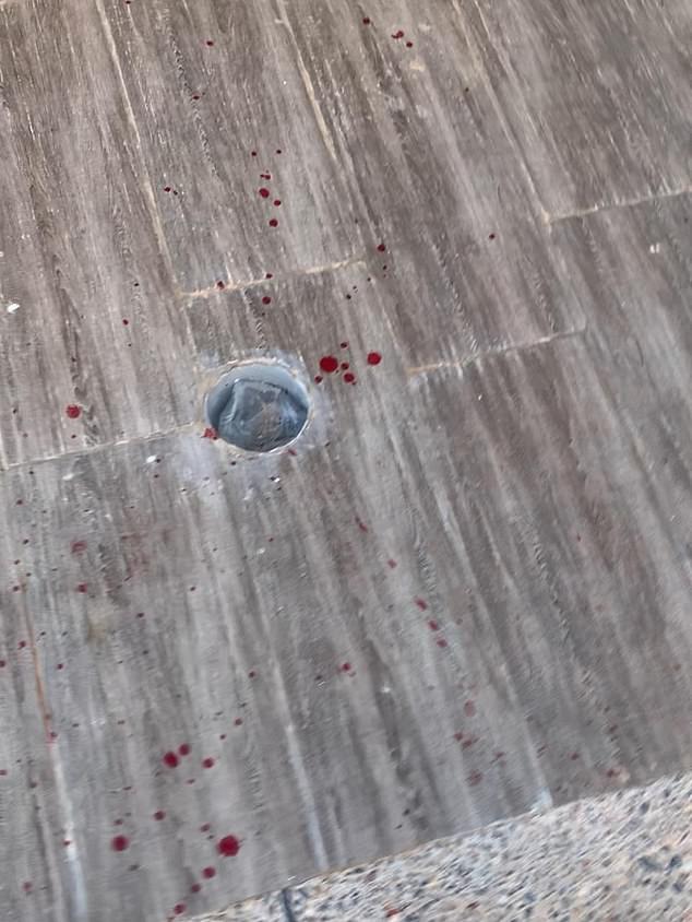 That is the horrifying scene unfolding the Moroccan city of Nador as officials massacre 'millions' of stray dogs to make way for the crowds attending the 2030 World Cup. A witness of the shootings shared the shocking images