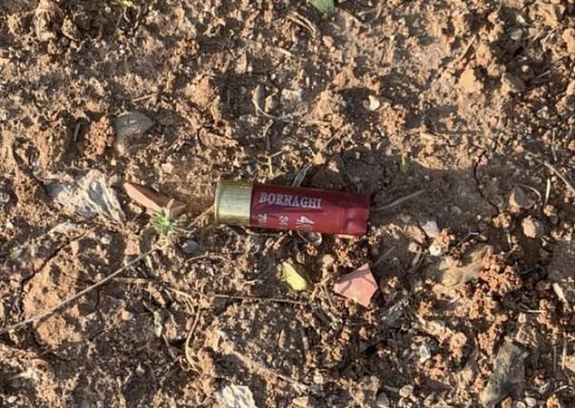 The images shared with Daily Mail included a spent gunshot lying in the dirt