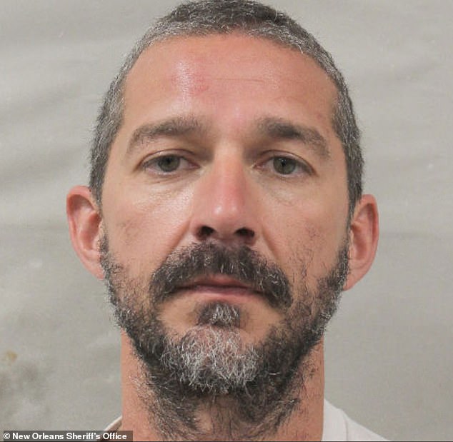 The actor is seen in his mugshot following his February arrest
