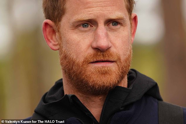 Prince Harry then operated a robot used to remove explosives from the ground during the second day of his surprise visit to the war-torn nation