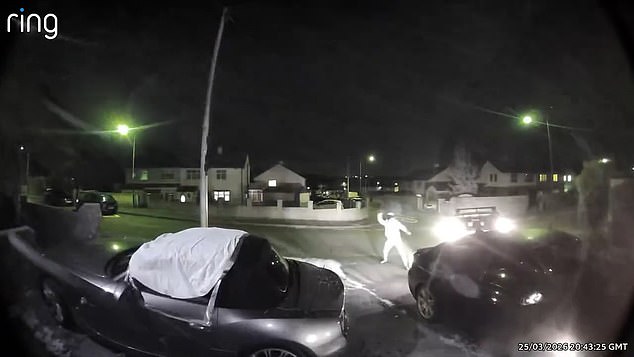 Homeowners Aaron Rebecca Thompson said the incidents were the culmination of a ‘nightmare’ campaign of abuse which has left them ‘mentally destroyed'