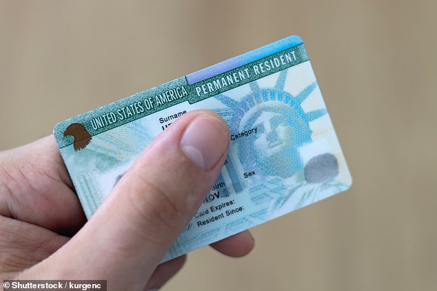 Green card approvals have been slashed by about half over the last year as part of the Trump administration's crackdown on immigration