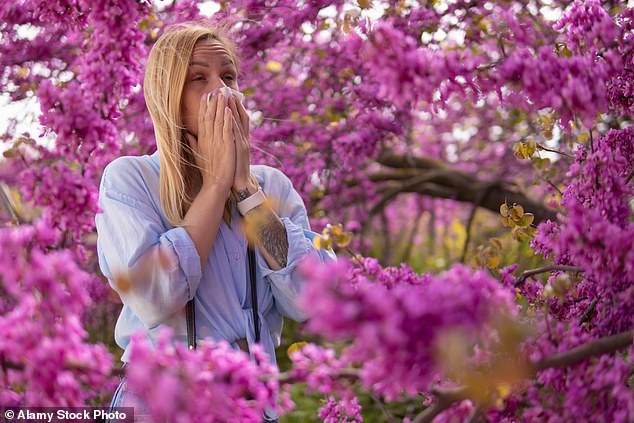 Hay fever sufferers are now likely to struggle with the condition for two weeks longer than they would have done in the Nineties because climate change has prolonged the pollen season