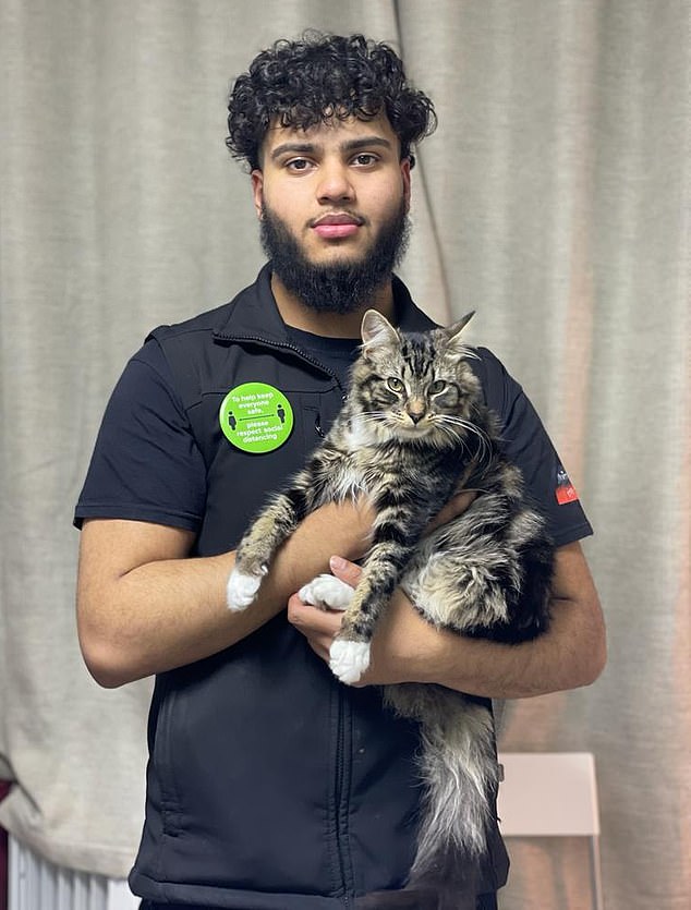 In spite of his protests of innocence, the software engineer was arrested at his home in Southampton by officers, put in handcuffs and held in custody for ten hours