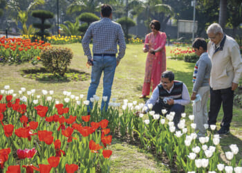 The middle class in India is being squeezed, starting with housing