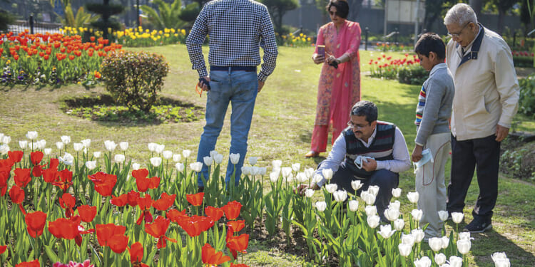 The middle class in India is being squeezed, starting with housing
