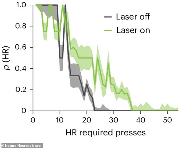 With the laser off (gray line), healthy mice quickly abandoned a worsening choice. With the laser on (green line), silencing their mediodorsal thalamus, they kept making the same poor choice, just like mice with a schizophrenia-linked mutation