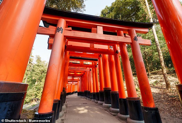 Seen is the holy tunnel of vibrant red torii gates lines the pathway at Fushimi Inari Taisha in Kyoto, Japan
