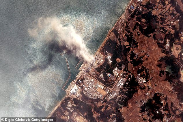 After the Fukushima nuclear disaster (pictured), authorities prevented people from eating contaminated food. This significantly lowered the risk of thyroid cancer