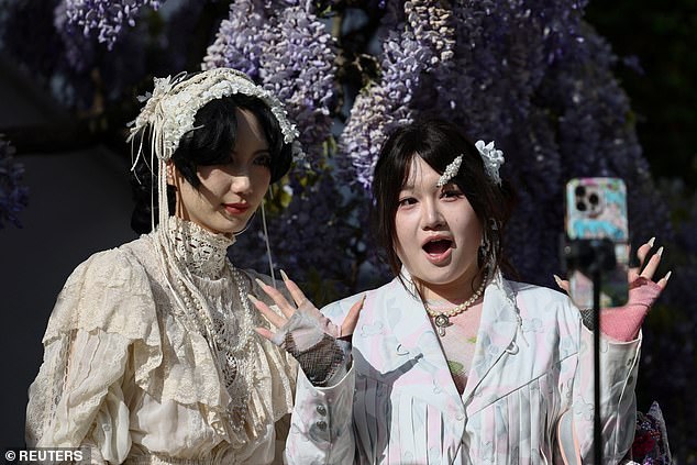Asian tourists use a phone stand to take pictures in front of wisteria in West London