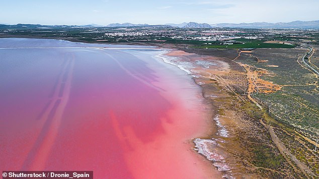 The region is home to Laguna Salada de Torrevieja - a luscious pink lake (pictured)