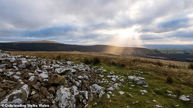 The walk from Pantmaenog Forest to Foel Eryr takes visitors through wild ancient moorland