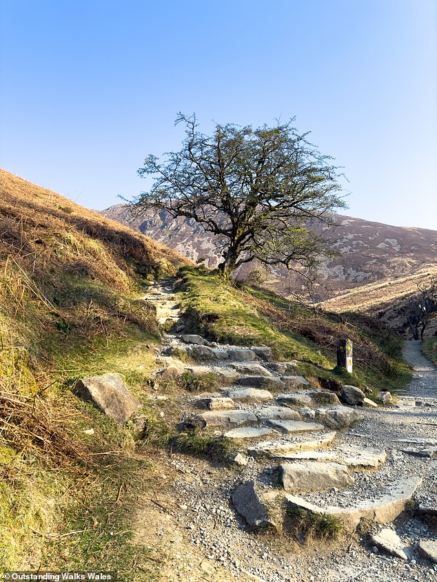 Cadair Idris is a mountain with roots to folklore, with legends suggesting that those who fall asleep on the mountain will either awake as a poet or madman - or possibly never wake again