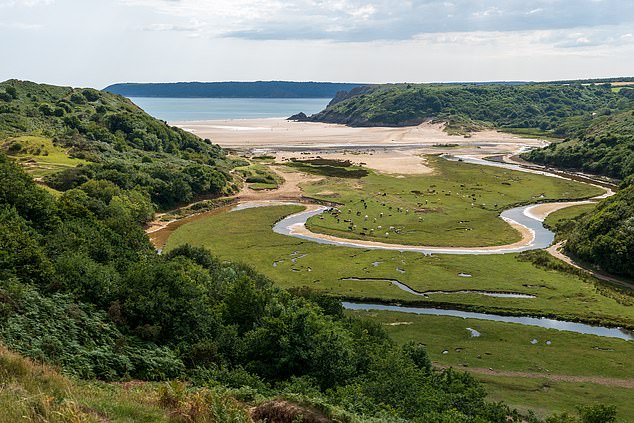 Three Cliffs bay is made up of surrounding dunes, river and cliffs that provide a varied landscape