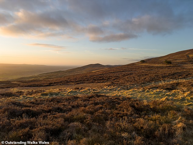 The Clwydian Hills is managed as an Area of Outstanding Natural Beauty