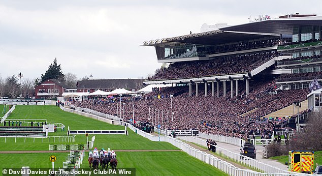 ‘It’s all about Cheltenham for Heneghan,' says one source. ‘You have a good Cheltenham and you retain those people into Aintree, and then make the Royal Ascot push’