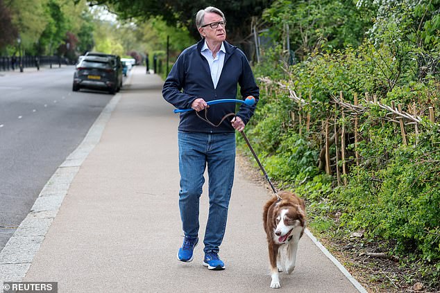 The PM has been struggling to cling on amid the ongoing scandal over Mandelson (pictured) being made US ambassador