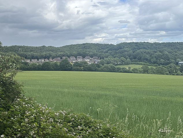 Thousands of locals have rallied against plans to build on 14 rural sites near Sheffield, South Yorkshire, as part of Labour's target to build 13,000 homes by 2045 Pictured: Town End Farm