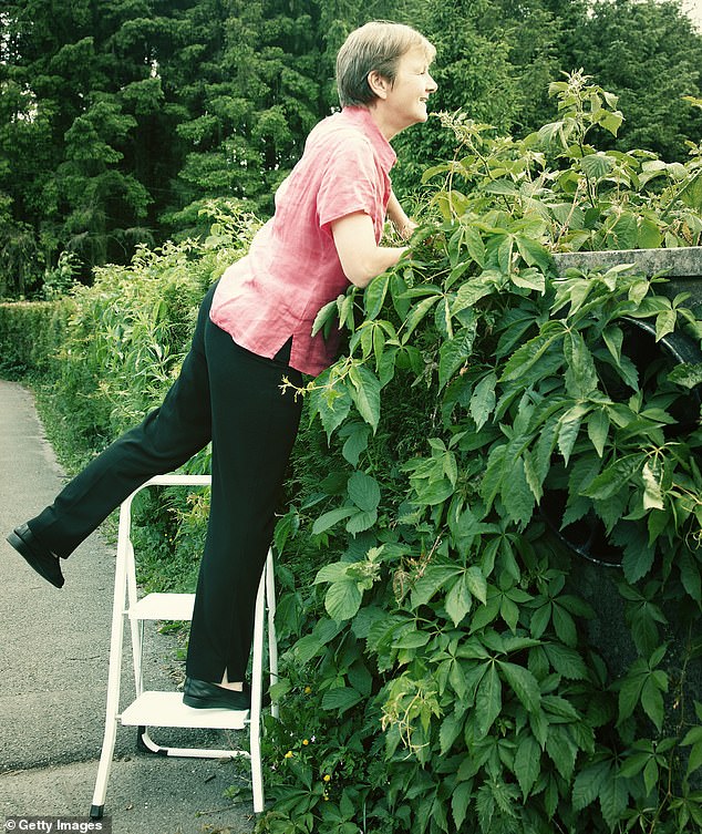 You cannot force your neighbour to come round and trim their hedge for you (Picture posed by model)